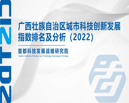 抽插内射视频【成果发布】广西壮族自治区城市科技创新发展指数排名及分析（2022）